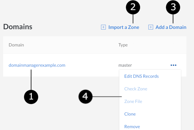 The DNS Manger